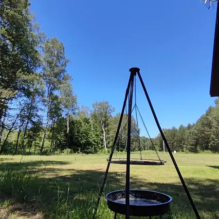 Letniskowy Brazowy -caloroczny * Stegers