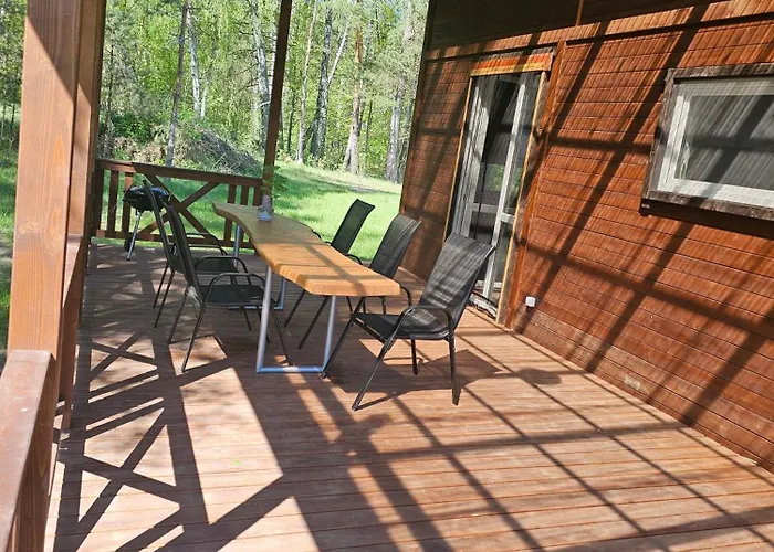 Dom wakacyjny Letniskowy Brązowy -całoroczny