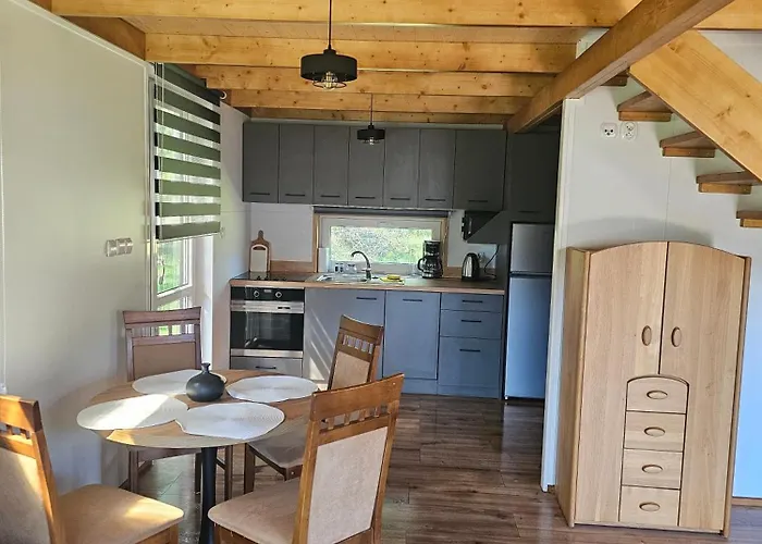 Dom wakacyjny Letniskowy Brązowy -całoroczny