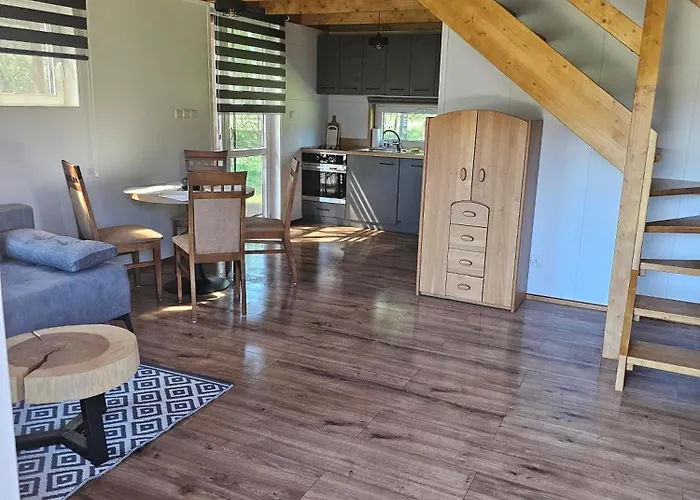 Dom wakacyjny Letniskowy Brązowy -całoroczny *