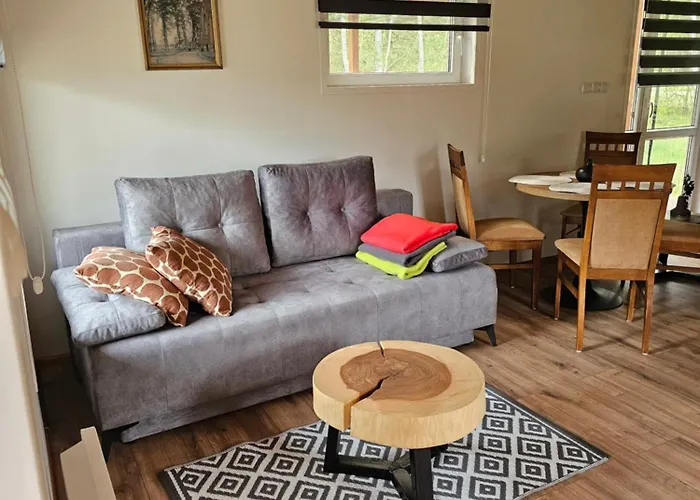 Letniskowy Brązowy -całoroczny Dom wakacyjny