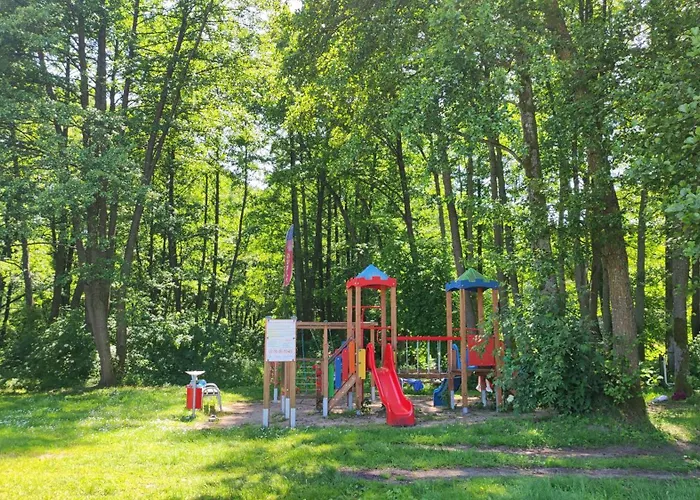 Dom wakacyjny Letniskowy Brązowy -całoroczny *