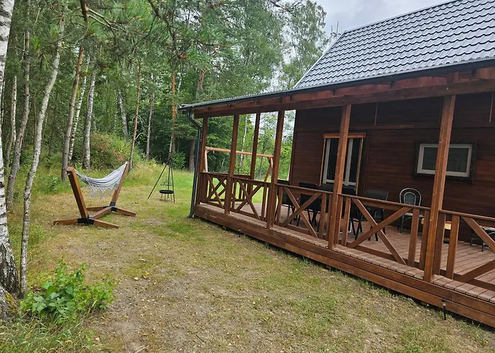 Dom wakacyjny Letniskowy Brązowy -całoroczny